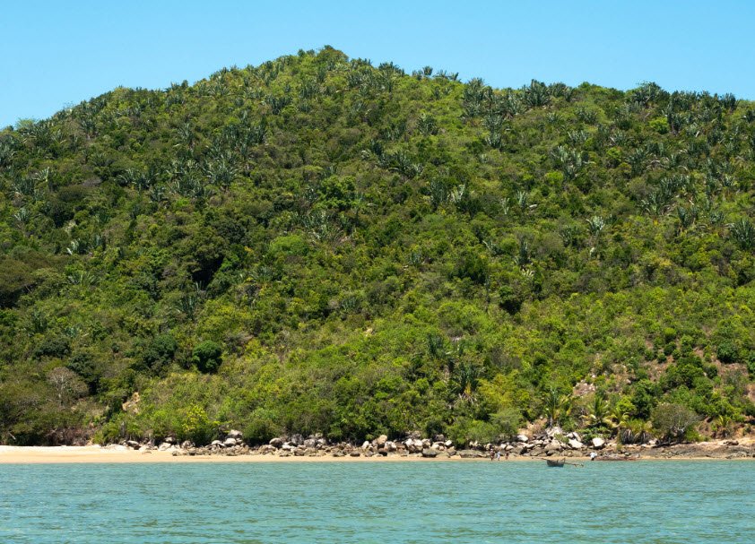 Lokobe Nature Special Reserve, Nosy Be Island, Madagascar